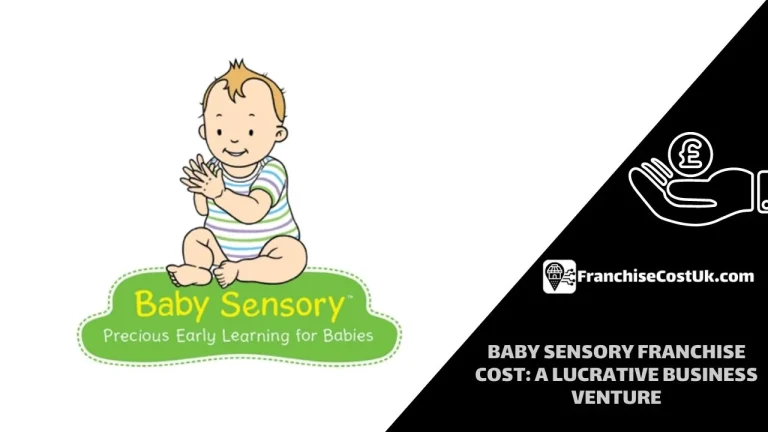 baby sensory franchise