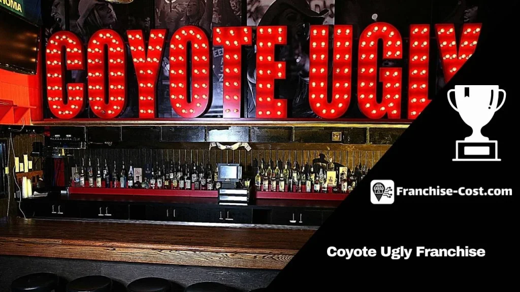 Coyote Ugly Franchise